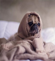 松原有这样的手机号码，留不住钱，你中枪了吗？