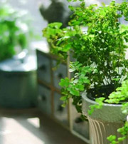 松原专属于你的开运指南，助你鸿运当头福满身！