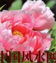 松原预示你财运上升，姻缘可成的梦境，快来看看吧！