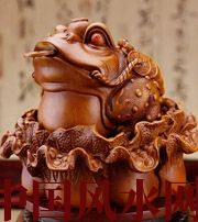 松原解读金蟾最合适的位置，这样摆放更招财！