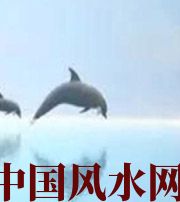 松原做梦梦到这些，是要富裕的征兆！