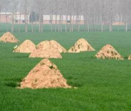 松原阴宅风水：形峦三十六绝